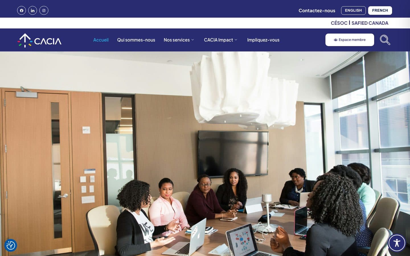 Preview of the CACIA website